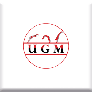 Aimant logo